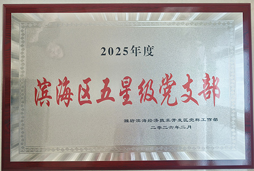 北海熱力黨支部獲評(píng)濱海區(qū)五星級(jí)黨支部