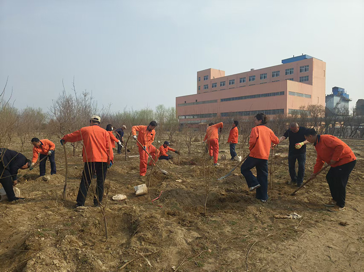 春意盎然植樹忙  公司舉行“為廠區(qū)添新綠”植樹活動